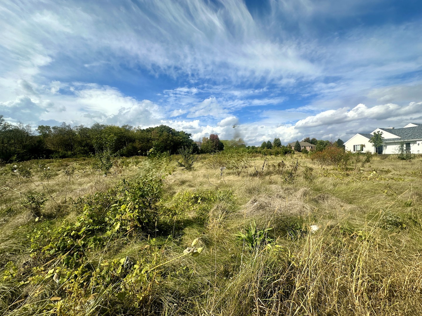 5048 Smokethorn Trail