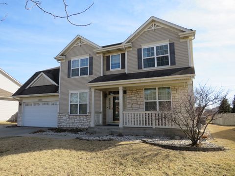 1003 Marion Drive Shorewood IL 60404