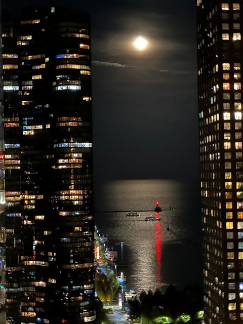 Tiny photo for 505 N McClurg Court #3402, Chicago, IL 60611 (MLS # 12439063)