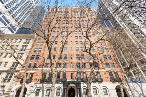 210 E Pearson Street 4C Chicago IL 60611