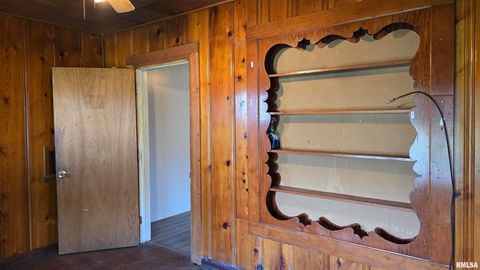 Tiny photo for 205 SHAW Street, Harrisburg, IL 62946 (MLS # EB457508)