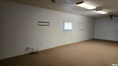 Tiny photo for 205 SHAW Street, Harrisburg, IL 62946 (MLS # EB457508)