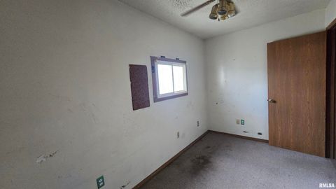 Tiny photo for 205 SHAW Street, Harrisburg, IL 62946 (MLS # EB457508)