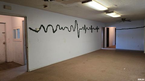 Tiny photo for 205 SHAW Street, Harrisburg, IL 62946 (MLS # EB457508)