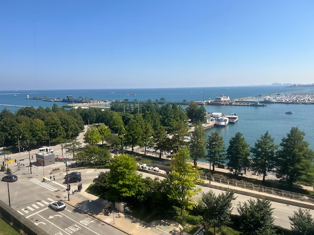 505 N Lake Shore Drive 813