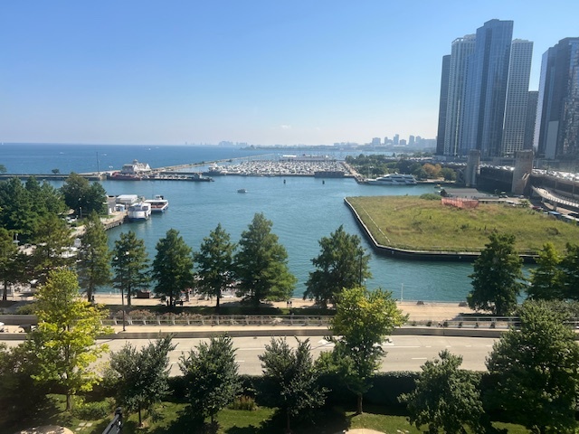505 N Lake Shore Drive 813