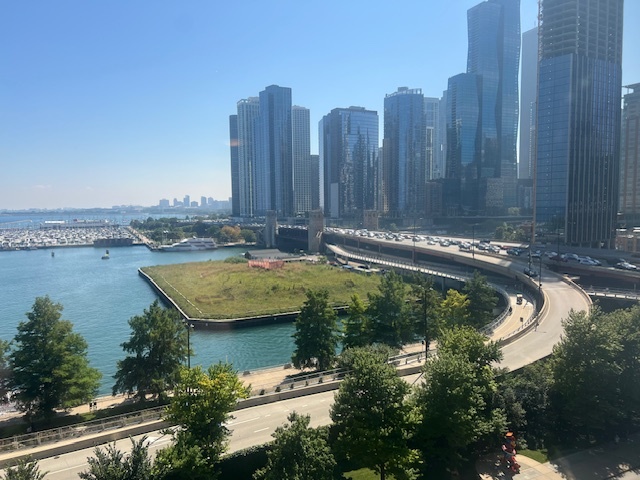 505 N Lake Shore Drive 813