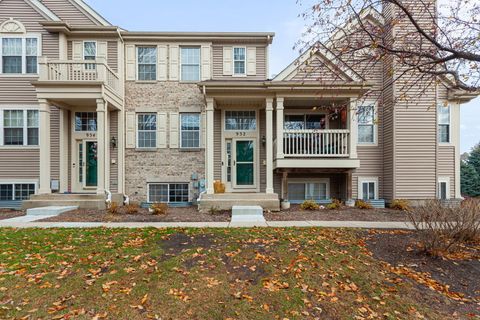 Photo of 932 Clover Lane, Pingree Grove, IL 60140 (MLS # 12515611)