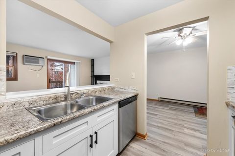 Tiny photo for McHenry, IL 60050 (MLS # 12533385)
