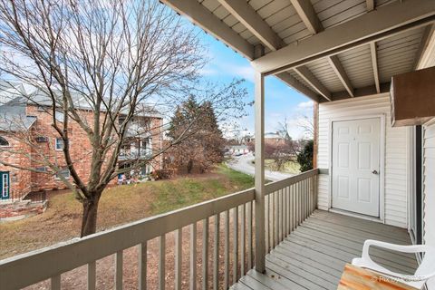 Tiny photo for McHenry, IL 60050 (MLS # 12533385)