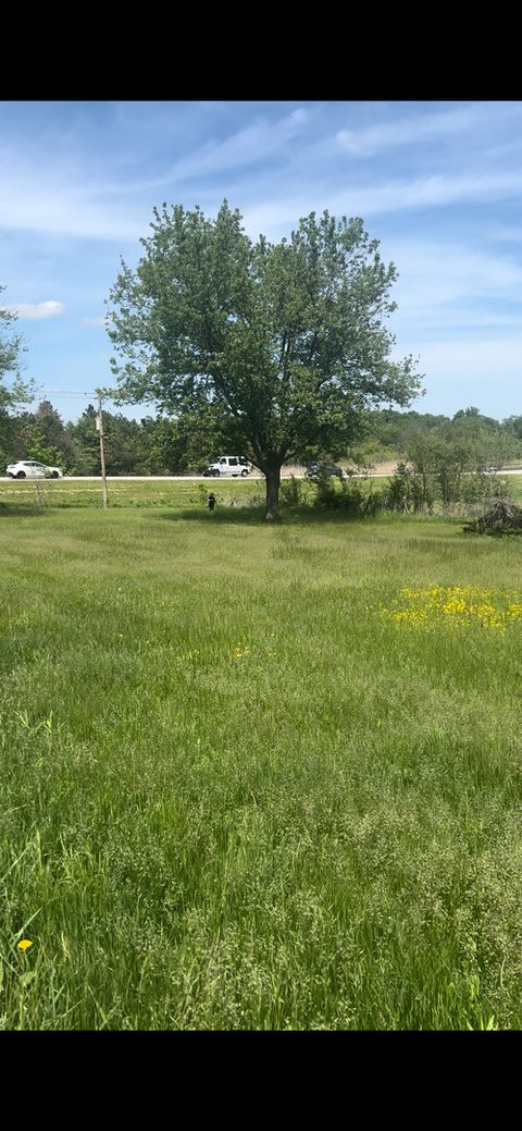 Tiny photo for 3303 E Exchange Street, Crete, IL 60417 (MLS # 12545840)