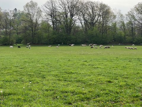 Tiny photo for 3303 E Exchange Street, Crete, IL 60417 (MLS # 12545840)