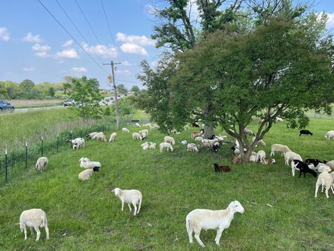 Tiny photo for 3303 E Exchange Street, Crete, IL 60417 (MLS # 12545840)