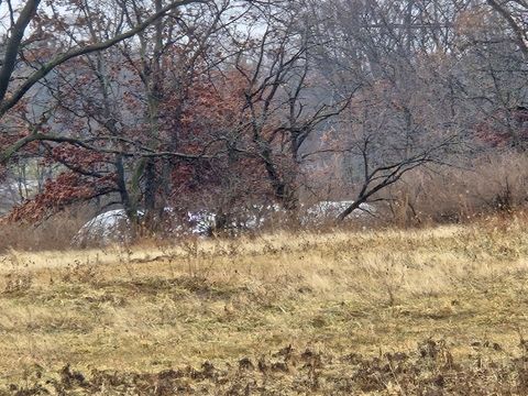 Tiny photo for 3303 E Exchange Street, Crete, IL 60417 (MLS # 12545840)