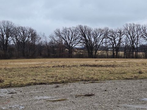 Tiny photo for 3303 E Exchange Street, Crete, IL 60417 (MLS # 12545840)