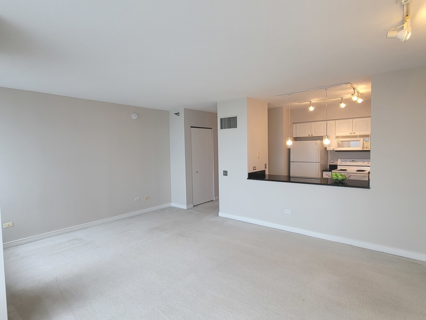 512 N MCCLURG Court 5203