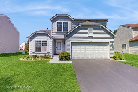 236 W DAISY Circle Romeoville IL 60446