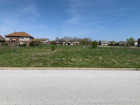 2124 LEWIS DR, LYNWOOD, IL 60411 - Image 040932ea0d70bcacaaba3f64b4990cdc/2349817433