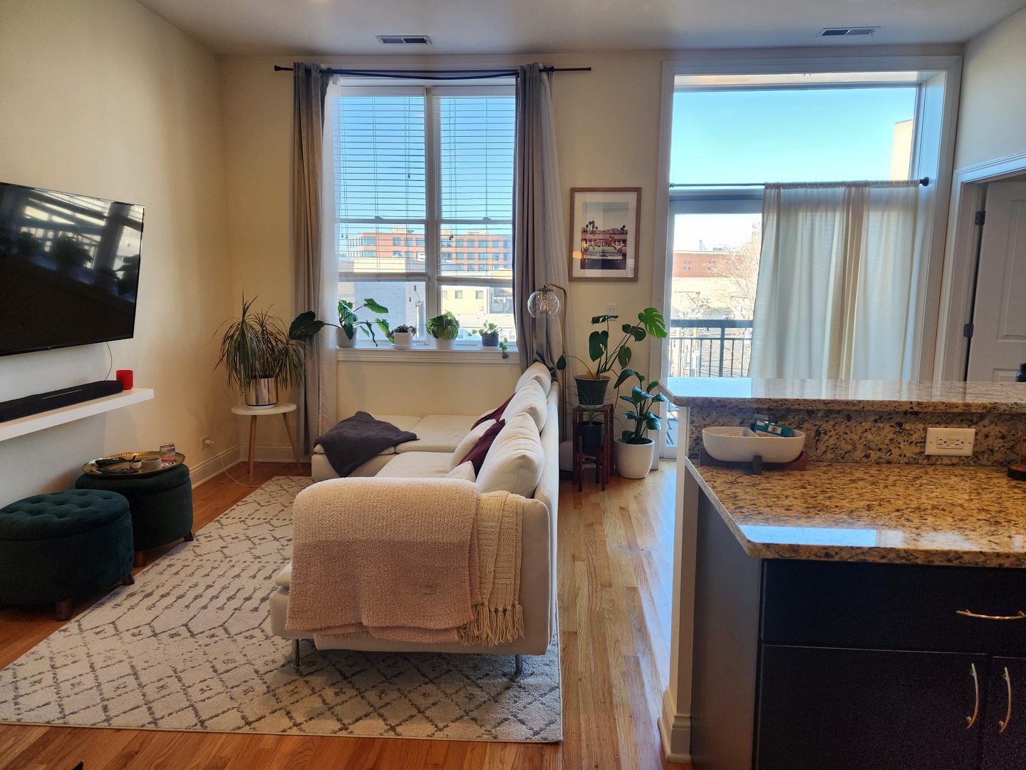 918 W Belmont Avenue 306