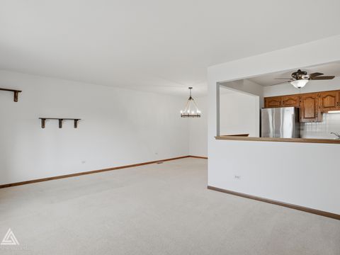 Tiny photo for Orland Park, IL 60467 (MLS # 12536466)