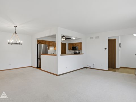 Tiny photo for Orland Park, IL 60467 (MLS # 12536466)