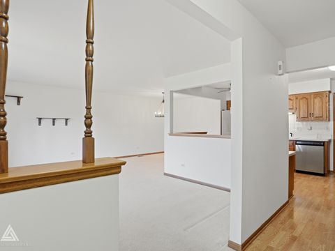 Tiny photo for Orland Park, IL 60467 (MLS # 12536466)