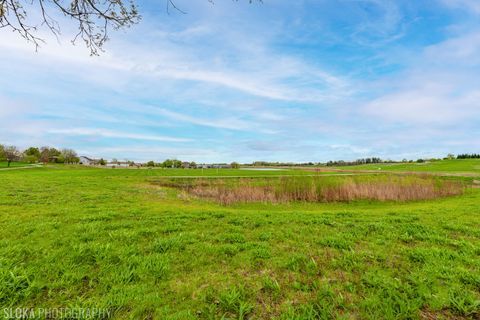 Tiny photo for Algonquin, IL 60102 (MLS # 12624224)