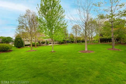 Tiny photo for Algonquin, IL 60102 (MLS # 12624224)