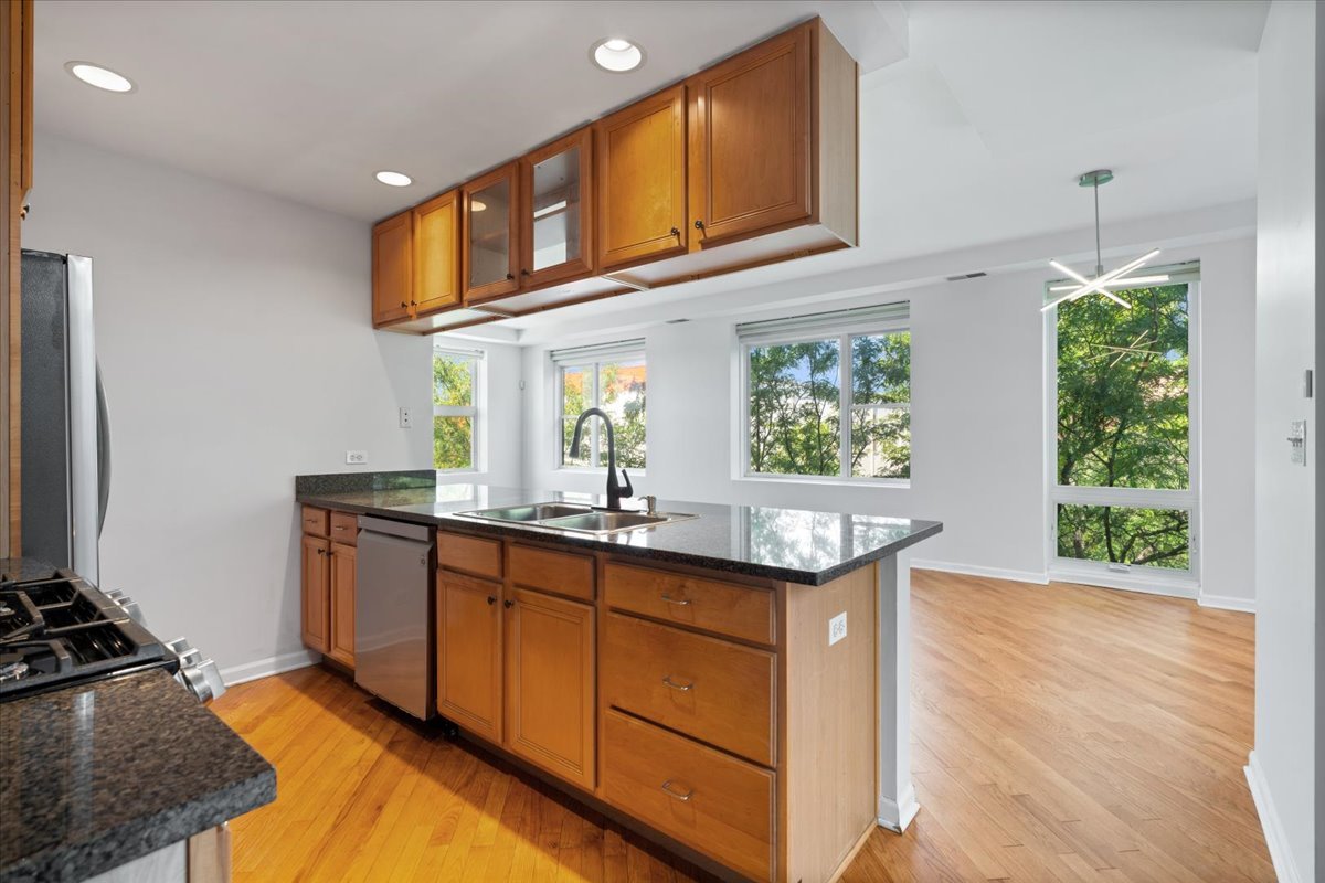 2337 W Wolfram Street 415