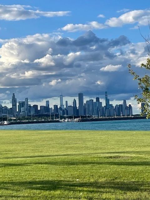 Tiny photo for 4055 S Ellis Avenue, Chicago, IL 60653 (MLS # 12492714)