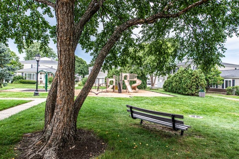 Tiny photo for 724 E Old Willow Road #104D, Prospect Heights, IL 60070 (MLS # 12746695)