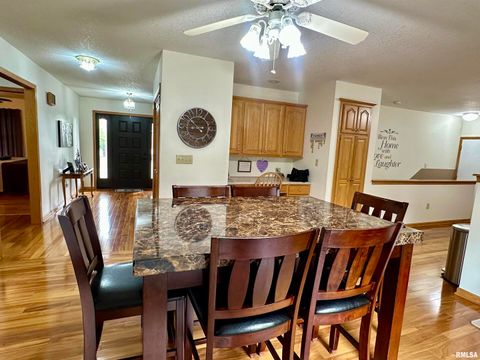 Tiny photo for 613 33RD Avenue N, Clinton, IA 52732 (MLS # QC4266588)