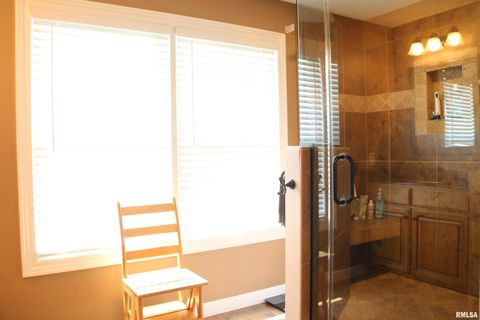 Tiny photo for 1914 RIDGEFIELD Drive, Port Byron, IL 61275 (MLS # QC4266068)