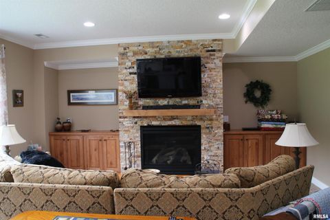 Tiny photo for 1914 RIDGEFIELD Drive, Port Byron, IL 61275 (MLS # QC4266068)