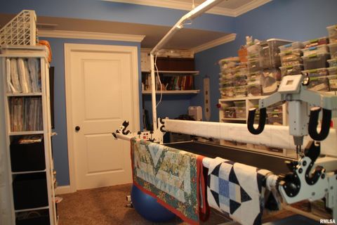 Tiny photo for 1914 RIDGEFIELD Drive, Port Byron, IL 61275 (MLS # QC4266068)