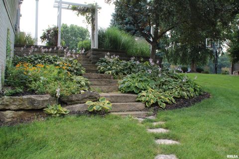 Tiny photo for 1914 RIDGEFIELD Drive, Port Byron, IL 61275 (MLS # QC4266068)