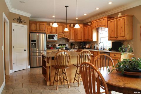 Tiny photo for 1914 RIDGEFIELD Drive, Port Byron, IL 61275 (MLS # QC4266068)