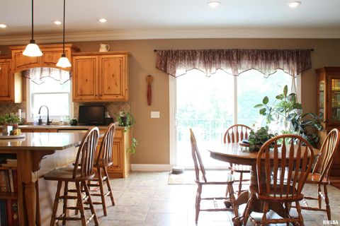 Tiny photo for 1914 RIDGEFIELD Drive, Port Byron, IL 61275 (MLS # QC4266068)