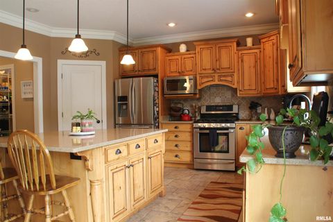 Tiny photo for 1914 RIDGEFIELD Drive, Port Byron, IL 61275 (MLS # QC4266068)