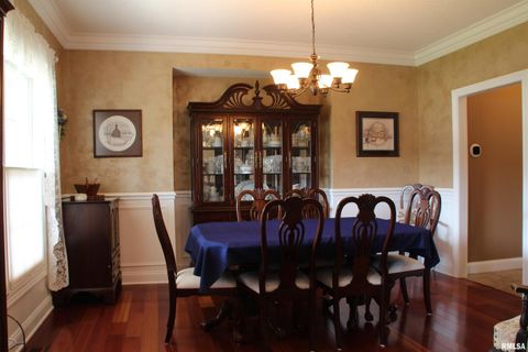 Tiny photo for 1914 RIDGEFIELD Drive, Port Byron, IL 61275 (MLS # QC4266068)