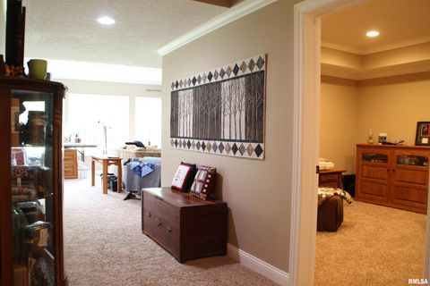 Tiny photo for 1914 RIDGEFIELD Drive, Port Byron, IL 61275 (MLS # QC4266068)