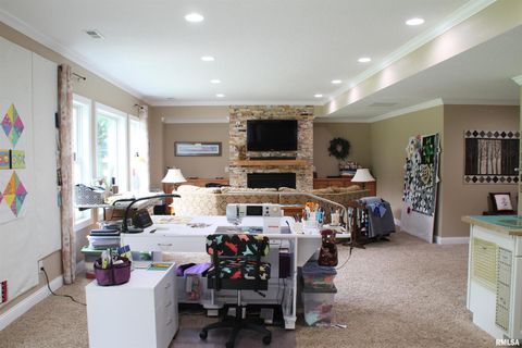 Tiny photo for 1914 RIDGEFIELD Drive, Port Byron, IL 61275 (MLS # QC4266068)