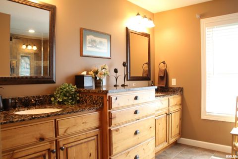 Tiny photo for 1914 RIDGEFIELD Drive, Port Byron, IL 61275 (MLS # QC4266068)