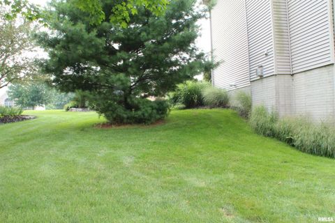 Tiny photo for 1914 RIDGEFIELD Drive, Port Byron, IL 61275 (MLS # QC4266068)
