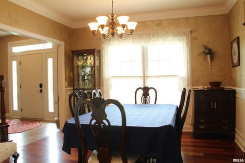 Tiny photo for 1914 RIDGEFIELD Drive, Port Byron, IL 61275 (MLS # QC4266068)