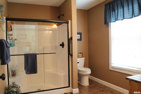 Tiny photo for 1914 RIDGEFIELD Drive, Port Byron, IL 61275 (MLS # QC4266068)