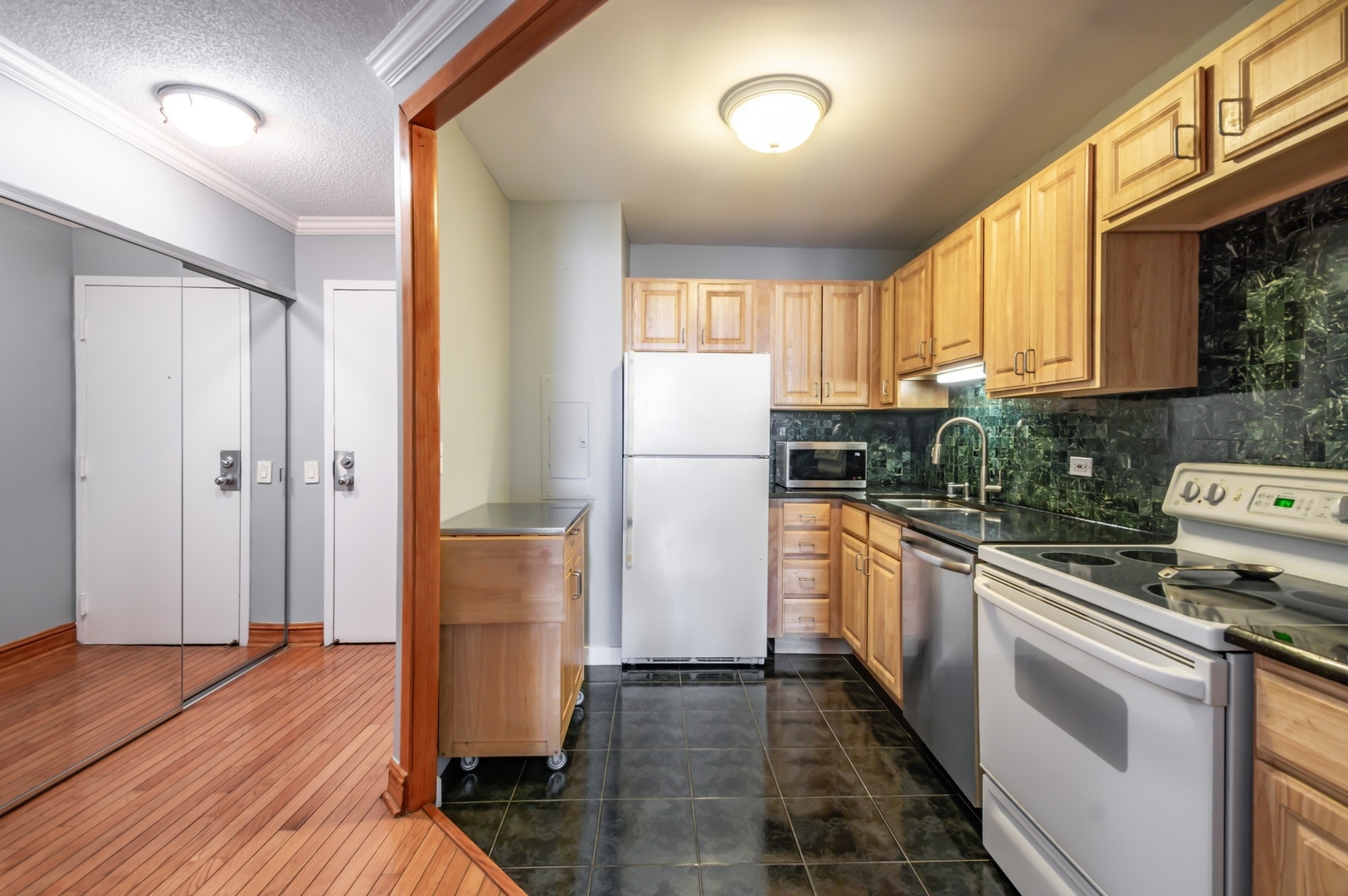 5320 N Sheridan Road 2209