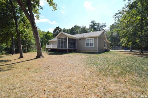 Tiny photo for 18562 E HILL Street, Mt Vernon, IL 62864 (MLS # EB459703)