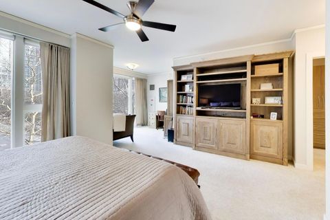 Tiny photo for 208 N Park Drive, Chicago, IL 60601 (MLS # 12603067)