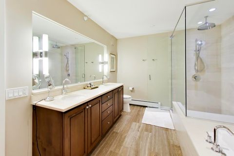 Tiny photo for 208 N Park Drive, Chicago, IL 60601 (MLS # 12603067)